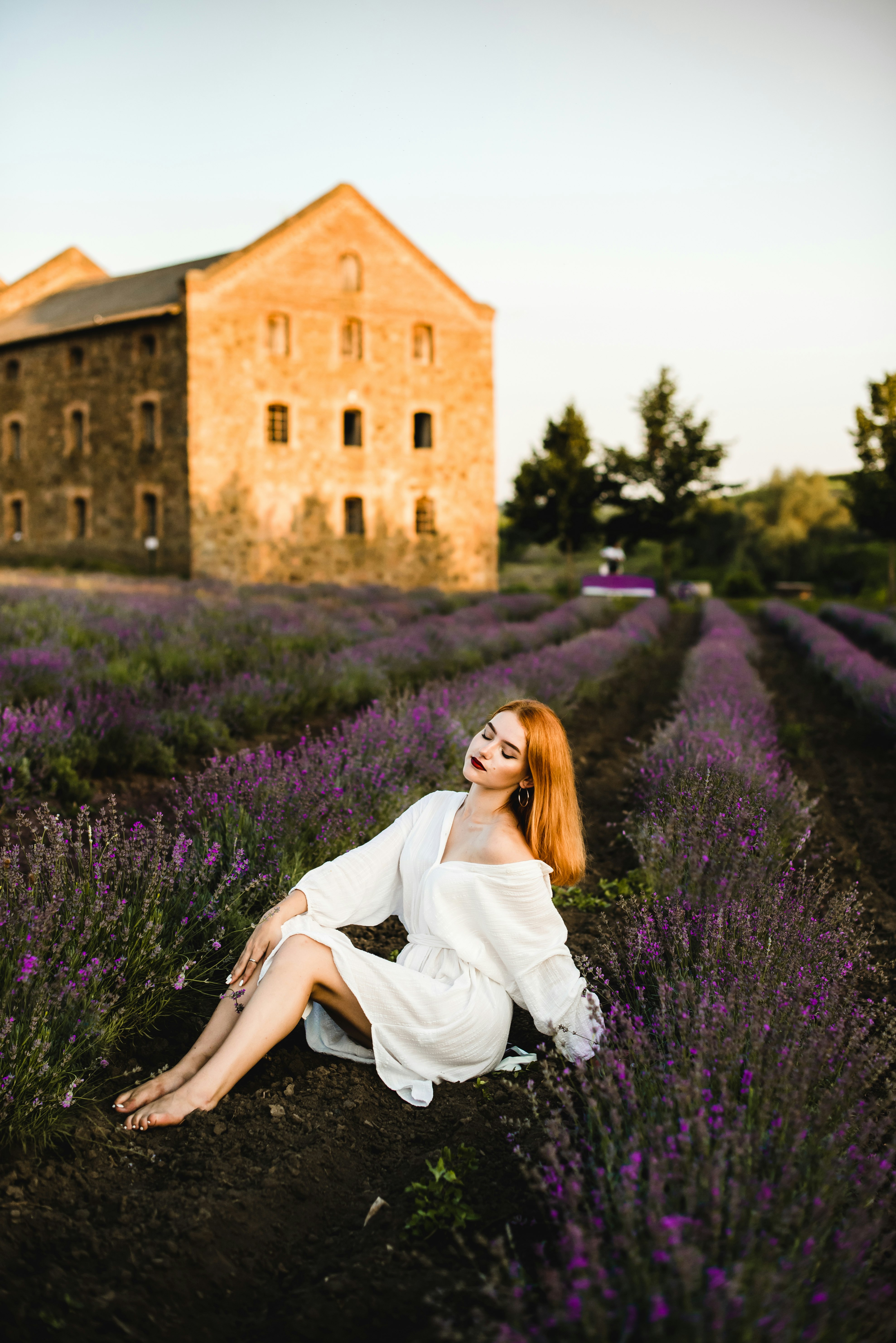 woman in white dress sitting on purple flower field during daytime